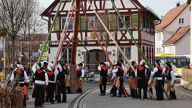 Bild : Bilder vom Umzug, Hochzeit der Narreneltern und Narrenbaumstellen in Espasingen