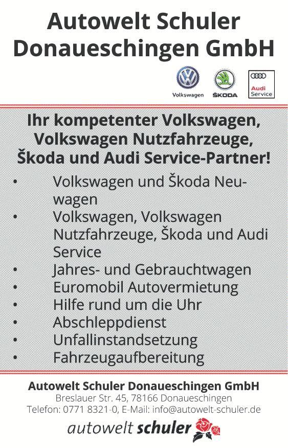 Bild 7: Kfz Service Donau: Elektrisch, alltagstauglich, SUV