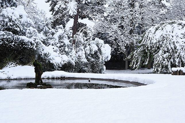 Bild 18: So schön ist der Schnee in Bad Säckingen und auf dem Hotzenwald! Wir haben die Bilder