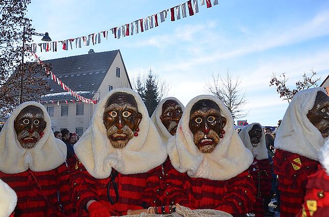 Bild 24: Bilder vom Narrenumzug in Weigheim 2019