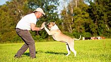 Peter Löser arbeitet seit 23 Jahren hauptberuflich mit Hunden und ihren Menschen. Er hat stets ein Rudel von fünf bis zehn Vierbeinern ...