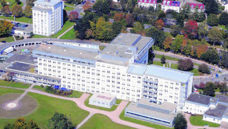 "Ehemaliges Krankenhaus bezugsfrei ab 12/2010" heißt es in einer Immobilienanzeige über die beiden alten Klinikstandorte der ...