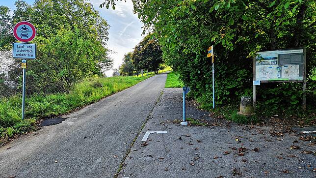 Der Premiumwanderweg „Hewensteig“ führt auf den Hohenhewen, den zweithöchsten der Vulkanberge im Hegau. Foto: Jürgen Waschkowitz