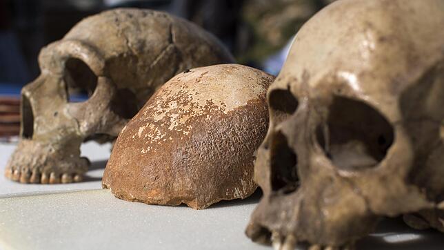 Auch in Deutschland finden sich Relikte aus längst vergangenen Tagen, die von Archäologen ausgegraben werden.