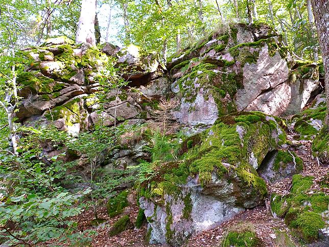 Im Volksmund wird dieser große Gesteinsbrocken oberhalb des Hunnenlochs als „Hühnerlochfelsen“ bezeichnet, der in der ...
