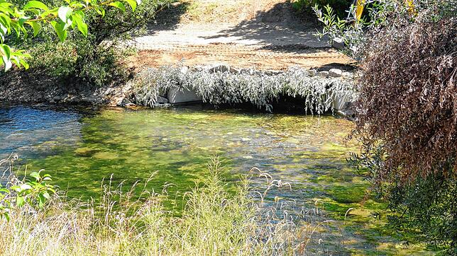 Ein Unterschlupf für Fische und Kleinstlebewesen ist an der Wutach entstanden.