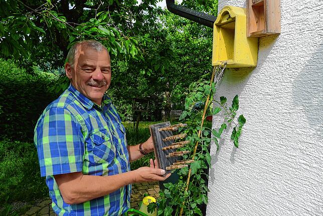 Ein interessantes Insektenhotel vom Nabu hat Knut Simon in seinem Garten. In Glasröhrchen kann man sehen, wie viele Eier beziehungsweise ...