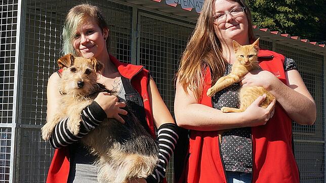 Vor dem Tierheim Steinatal: Jennifer Görgen (links) und Melissa Maier halten Hündin Shira und Jungkater Eddy in den Armen. Ziel ist es, ...