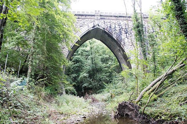 Unweit der Mündung unterquert die Steina ein Spitzbogenviadukt.