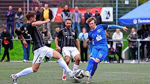 Bild : Unsere große Bildergalerie vom Landesliga-Spitzenspiel zwischen dem Hegauer FV und dem VfR Stockach
