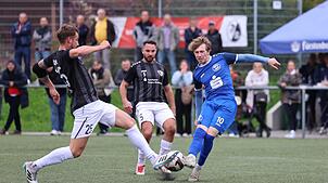 Bild : Unsere große Bildergalerie vom Landesliga-Spitzenspiel zwischen dem Hegauer FV und dem VfR Stockach