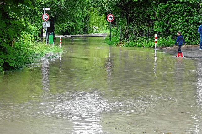 Die Schranke auf dem Weg vom Schwimmbad Hohentengen in Richtung Bootsanlegestelle war fast nicht mehr zu sehen, das Rheinufer ...