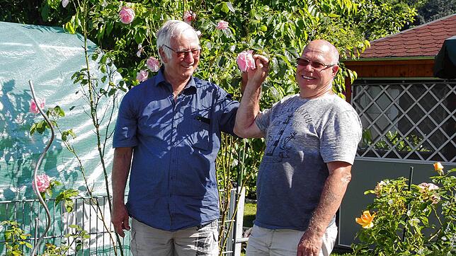 Neben Rosen gehören für Josef Jäger und Karl Weiß (von links) auch Nutzpflanzen in einen Schrebergarten. Seit Jahrzehnten bebauen und ...
