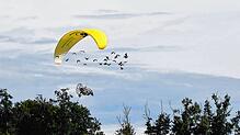 Die Waldrappe haben gelernt, den gelben Motorgleitschirm zu begleiten.