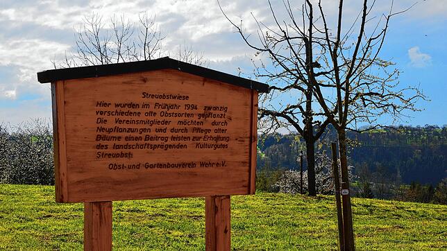 Der Obst- und Gartenbauverein Wehr pflegt die Bäume auf der Streuobstwiese. Dafür möchte er in passende Geräte investieren.