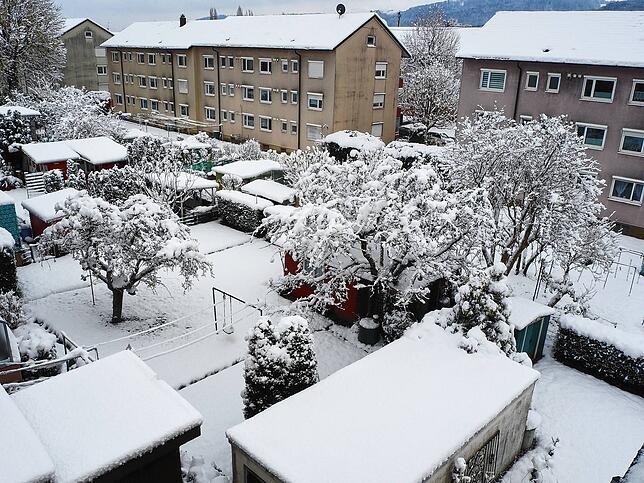 Bild 26: So schön ist der Schnee in Bad Säckingen und auf dem Hotzenwald! Wir haben die Bilder