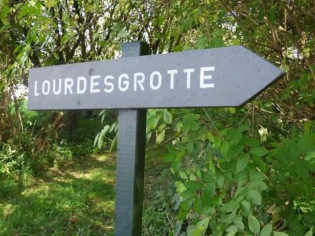 Bild 13: Mit dem SÜDKURIER durch die Apfelplantagen: Bilder der Wanderung