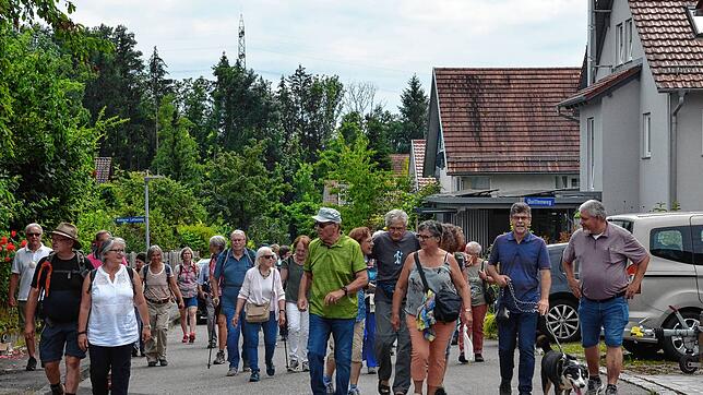 Der Jakobsweg führt die Teilnehmer der Wanderung zum neuen Pilgerstein auf Markdorfer Gemarkung auch durch Leimbach. Bilder: Jörg Büsche