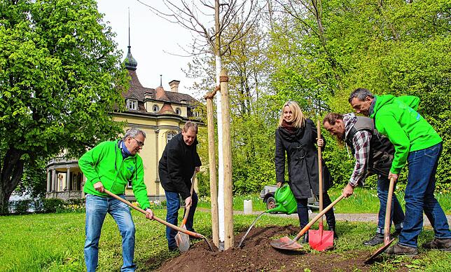 Zum &bdquo;Tag des Baumes&ldquo; pflanzte die Stadtspitze im April 2016 eine Winterlinde im Rauensteinpark.