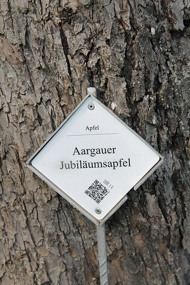 Zahlreiche Informationen über die Apfelsorte können über den QR-Code abgerufen werden.