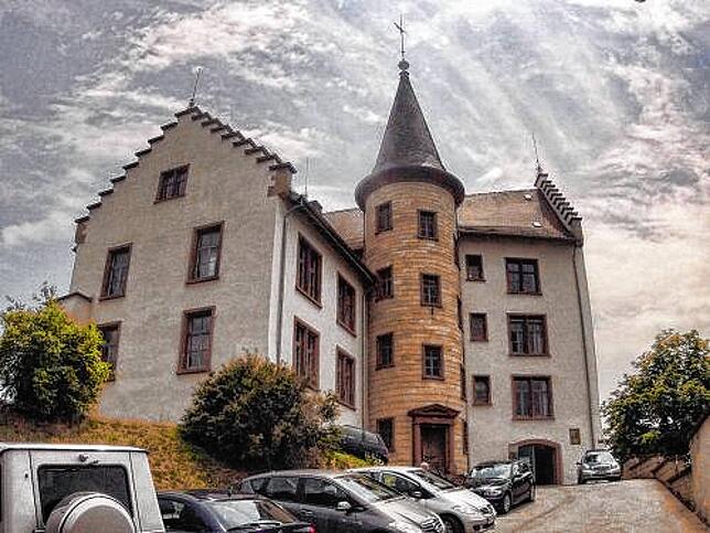 Im Krenkinger Schloss in Engen hat die Auktion stattgefunden.
