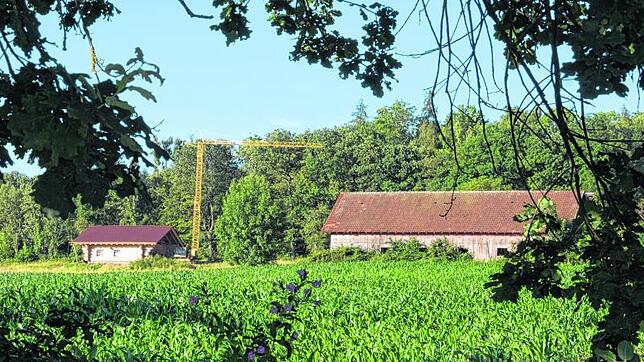 Im Landschaftsschutzgebiet am Westhang des Hohenstoffeln bei Binningen wird seit 2013 an einer Blockhütte gebaut. Der Bau ist umstritten.