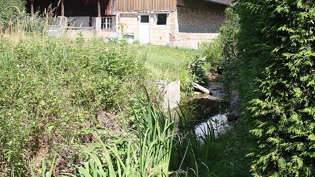 Der Dorfbach in Rickenbach ist nur ein kleines Rinnsal. Aus ihm wird die Satzfischzuchtanlage (links im Bild) gespeist, in der jetzt der ...