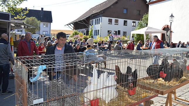 Nicht aus der Ruhe bringen ließen sich die Hühner vom Festtrubel auf dem Taubenmarkt.