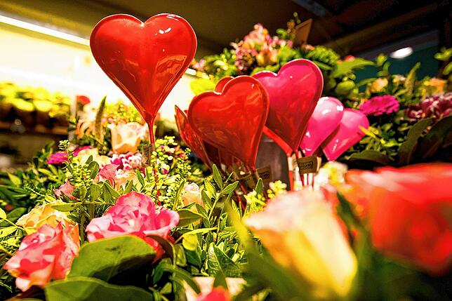 Der Valentinstag ist ein beliebter Anlass, um geliebten Menschen eine Freude zu bereiten. Eine der häufigsten Gaben an diesem Tag sind ...