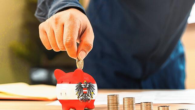 Wenn mehr Menschen ins Schweinderl einzahlen, kommt auch mehr für alle raus. In Österreich zahlen auch Selbständige und Beamte ins ...