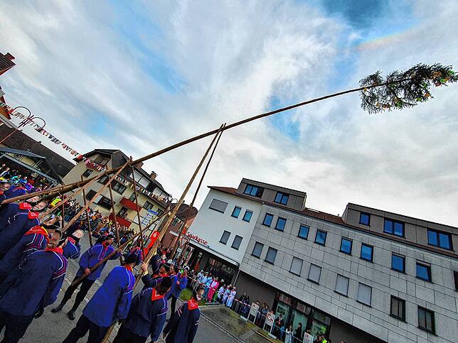 Bild 10: Bilder vom Umzug und Narrenbaumstellen in Ludwigshafen bei der Krone