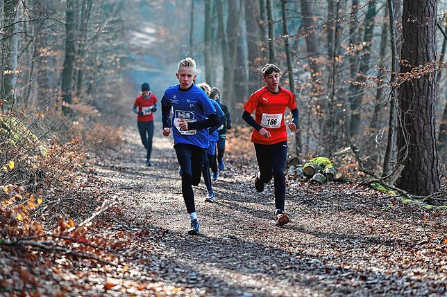 Bild 5: Unsere große Bildergalerie vom Crosslauf in Markelfingen, Teil 2!