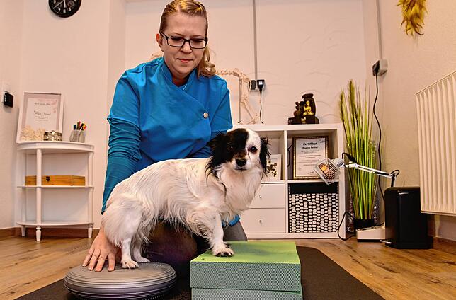 Ursprünglich wollte Regina Fester nur ihrem Hund Lucky helfen. Schnell hat sie gemerkt, dass der Bedarf an Physiotherapie in ...