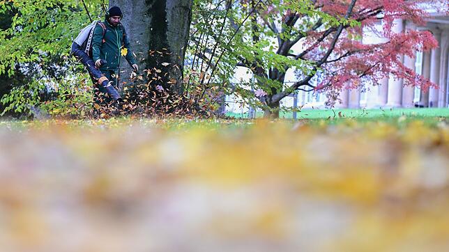 Im Herbst sind die Laubbläser vielerorts zu hören. (Archivbild)