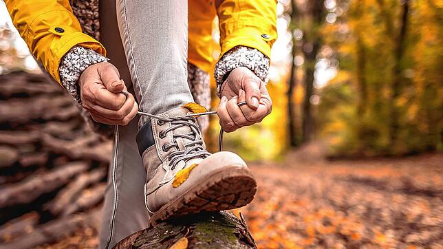 Die Wandersaison 2025 ist gestartet, viele interessante Touren stehen auf dem Programm. Foto: encierro/stock.adobe.com