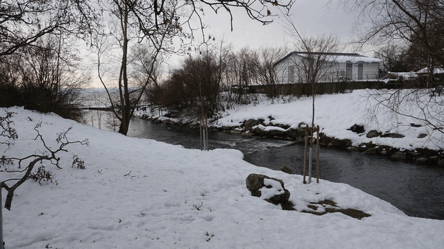 Zwischen diesen Bildern liegen zehn Tage und mehr als zwei Pegel-Meter: Der Wasserstand der damals noch von viel Schnee gesäumten Rotach ...