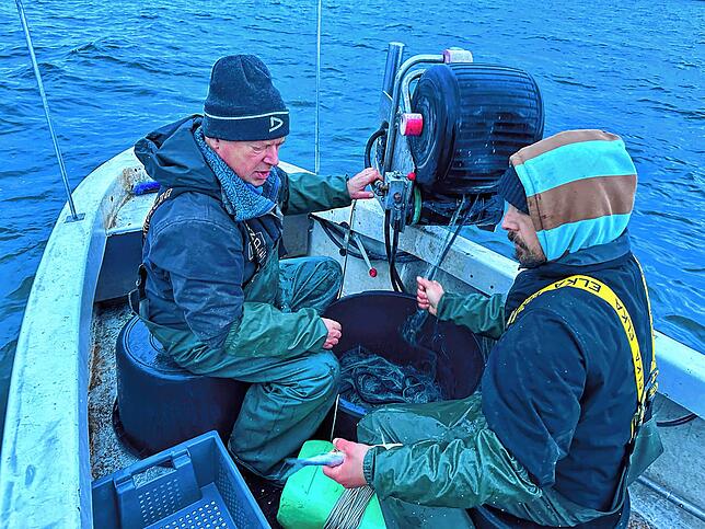 Martin und Christof Boesenecker sind zwei von rund 60 Berufsfischern am Bodensee, die es noch gibt. Aber nur noch die Hälfte von ihnen ...