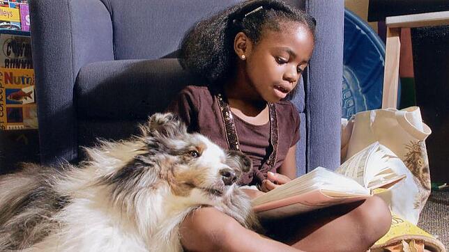 Kindern fällt es leichter, das Lesen zu erlernen, wenn ein Hund oder eine Katze zuhört. Hier übt Jordan mit Hund Robbie.