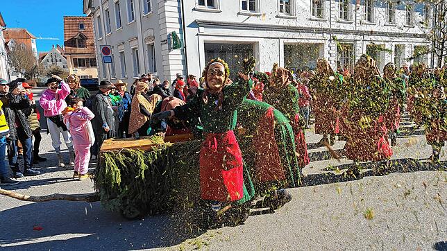 Bild : Fasnet 2025: Die besten Bilder vom Umzug in Hüfingen