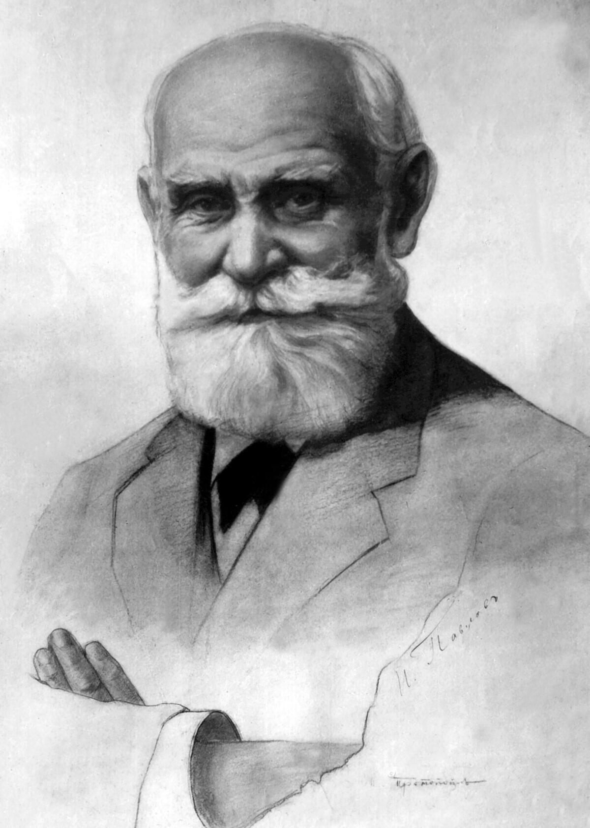 Sport Panenka, Pawlow und Potjomkin oder Ein Elfer, ein Hund und ein