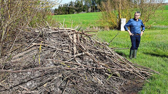 FDP-Landtagsabgeordneter Frank Bonath staunt nicht schlecht angesichts der mächtigen Biberburg im Bereich des Drachengrabens in Rietheim.
