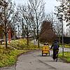Blick auf den Bodenseeradweg am Bahnhof Fürstenberg, fotografiert in Richtung Bahnhof Petershausen. Zwischen den zwei Stationen soll ...