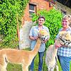 Manfred Hoffmann mit Hengst Mufasa und Barbara Schrenk mit Timon freuen sich täglich am Umgang mit den Alpakas, deren Wolle in momentan ...