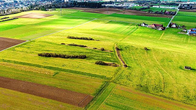 Auf diesen Feldern östlich von Villingen will die Stadt einen riesigen Solarpark bauen lassen. Die Blickrichtung der Aufnahme geht ...
