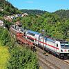 Die hier zweigleisige Gäubahn bei Epfendorf – von dort aus könnte schnell ein weiterer zweigleisiger Abschnitt errichtet werden, so die ...