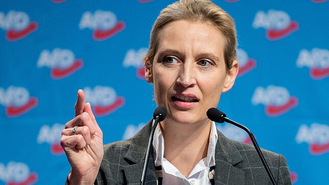 Alice Weidel.