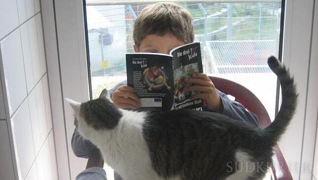 Kids4Cats Es ist ein einzigartiges Projekt: Bei "Kids4Cats" treffen Schüler mit einer Leseschwäche auf Katzen im Tierheim. Während die Kinder ihre ...