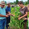 Eine echte Andelshofer Erdnuss: Um das festzuhalten, zückt sogar der Landtagsabgeordnete beim Besuch auf dem Überlinger Weltacker sein ...