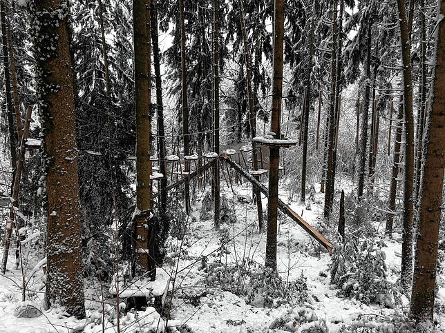Schwerer Nassschnee richtete im Januar großen Schaden im Kletterwald &bdquo;Hochempor&ldquo; am Bergsee an.