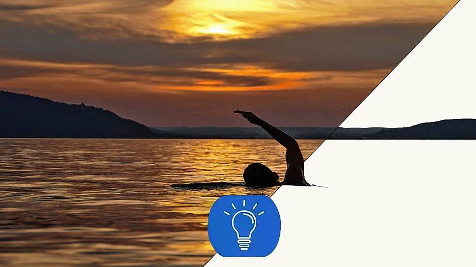 Manche Bodenseeschwimmer begnügen sich nicht mit einer gemütlichen Runde am Abend.
